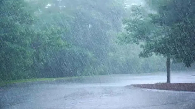 Heavy rains: దక్షిణాది జిల్లాలకు భారీ వర్ష సూచన..