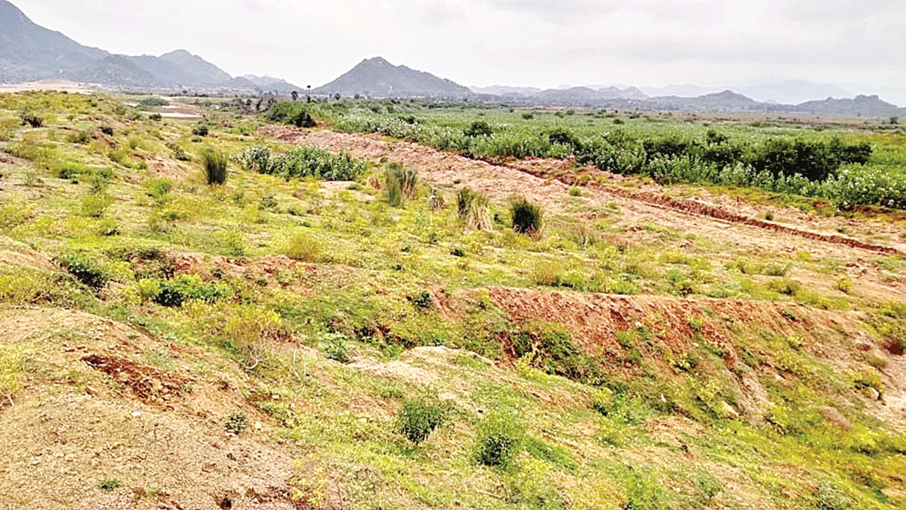 Offshore: ‘ఆఫ్షోర్’పై కదలిక