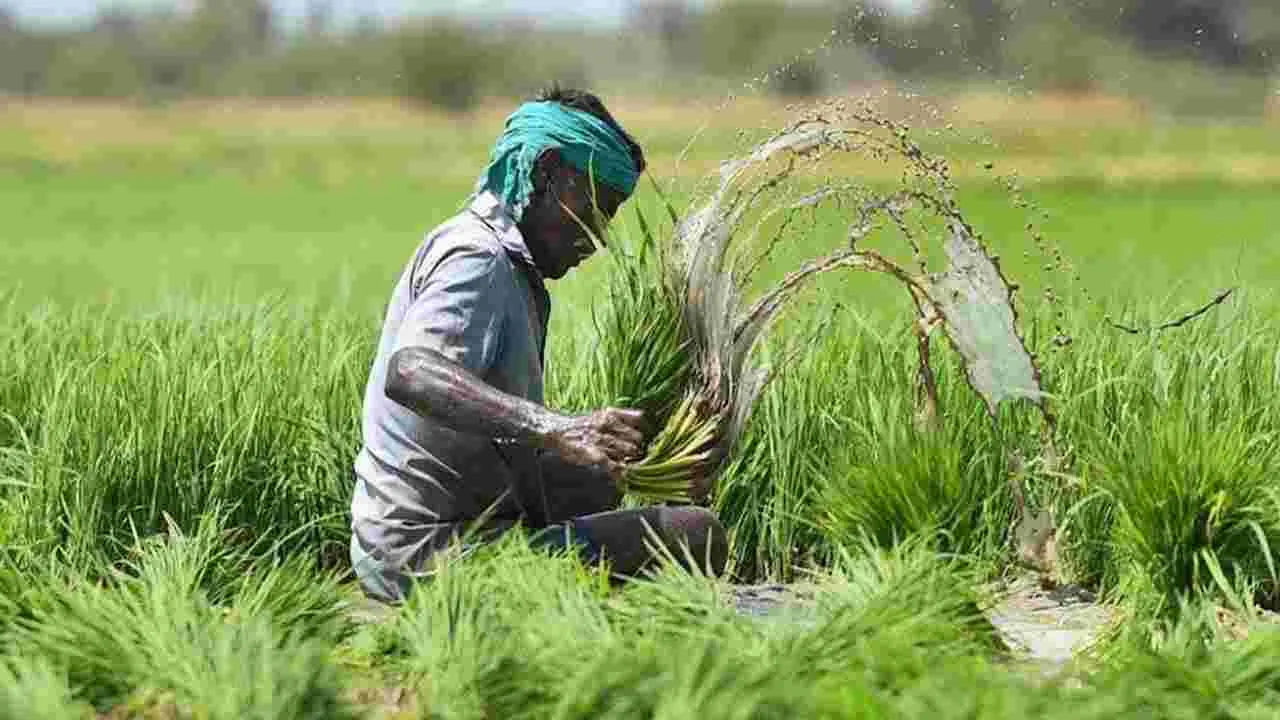 PM Fasal Bima: రైతన్నకు అండగా.. పంట బీమా పాలసీలను అందిస్తున్న ఎస్బీఐ జనరల్ ఇన్సూరెన్స్..