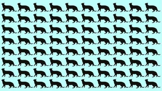 Picture Puzzle: మీది డేగ చూపు అయితే.. ఈ ఫొటోలో తేడాగా ఉన్న పిల్లిని 5 సెకెన్లలో కనుక్కోండి..