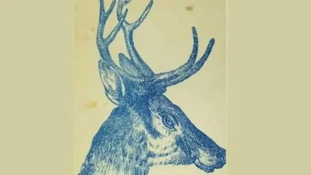 Optical Illusion: మీరు జీనియస్ అయితే.. ఈ ఫొటోలో కుందేలు ఎక్కడుందో 10 సెకెన్లలో కనుక్కోండి..