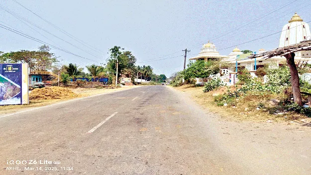 Sunny Frost ‘మంచు’టెండ