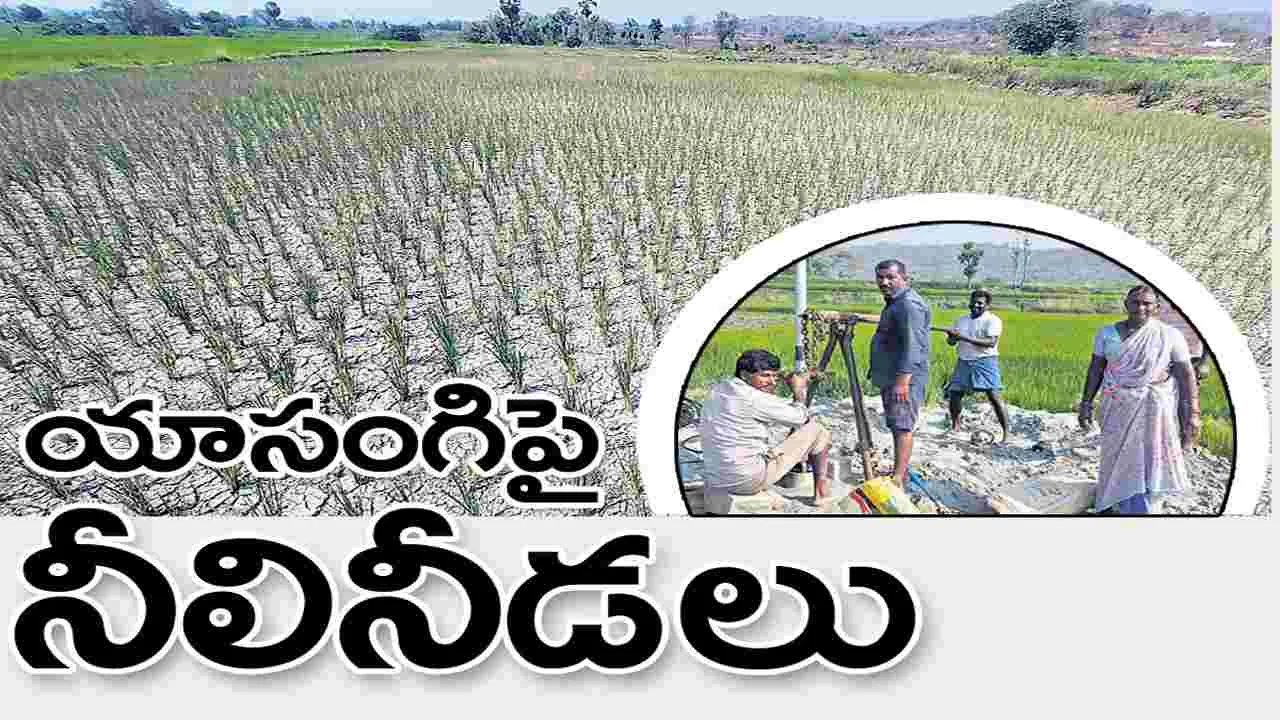 యాసంగిపై నీలినీడలు