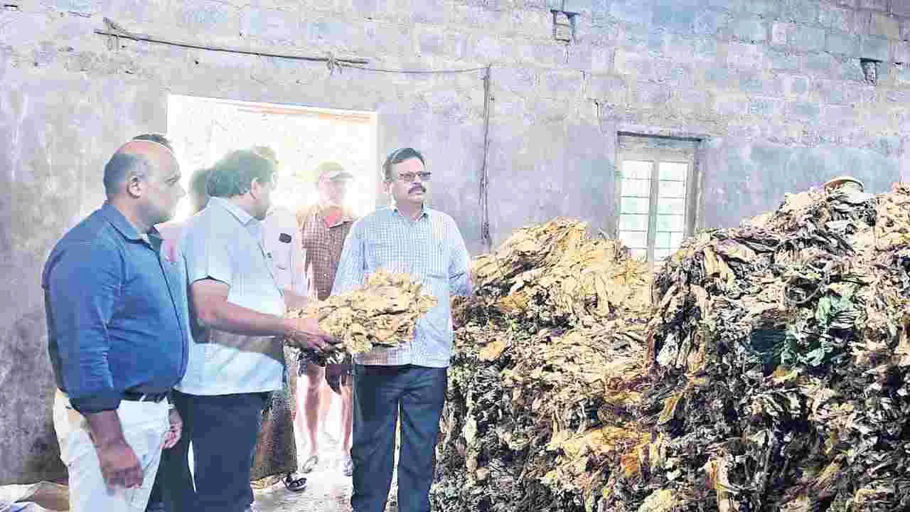 సరైన పక్వానికి వచ్చినప్పుడే ఆకు రేల్చాలి