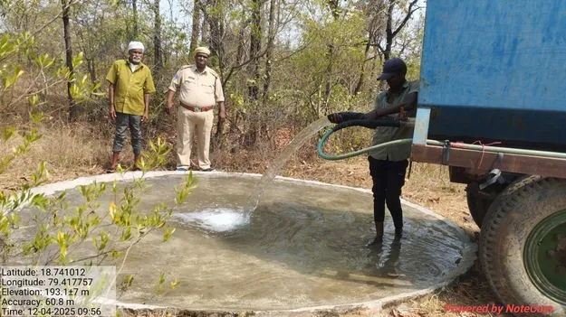 వేసవిలో అడవుల సంరక్షణకు చర్యలు