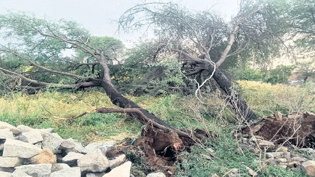 ఈదురుగాలులు.. ఉరుములు.. వడగళ్లు