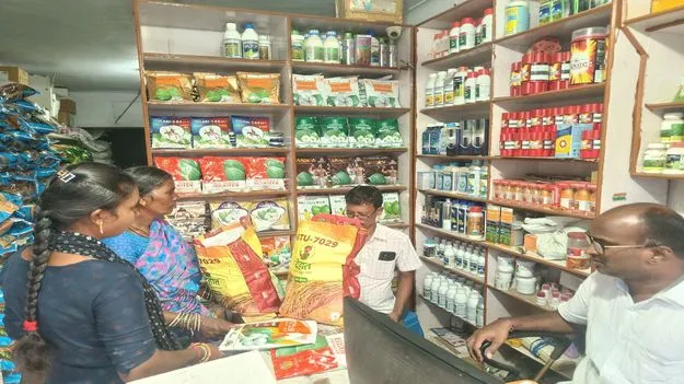 పెరిగిన పత్తి విత్తనాల ధరలు