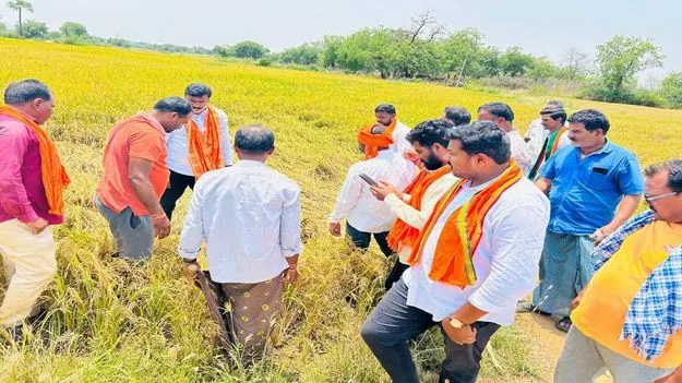  రైతులకు పరిహారం చెల్లించాలి