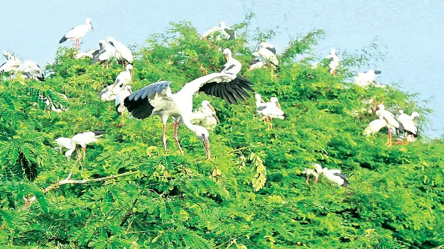 Eco-tourism : పర్యాటకాభివృద్ధికి.. ఇదే అదును