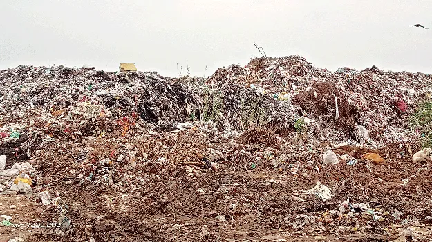   చెత్తశుద్ధి ఏదీ?