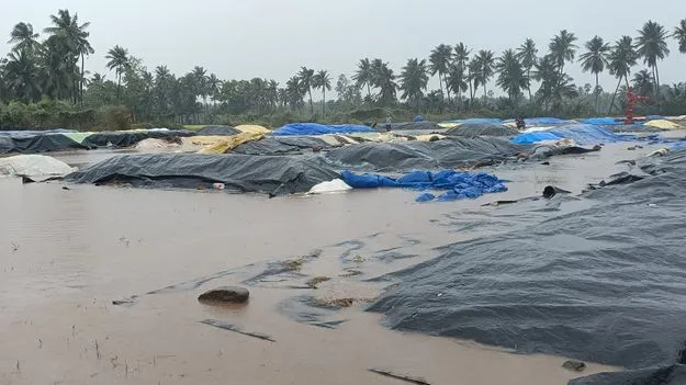 ముంచేసింది