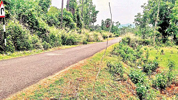 not interested to plantation ‘మొక్క’బడి