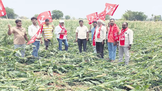 పంట నష్టపోయిన రైతులను ఆదుకోవాలి