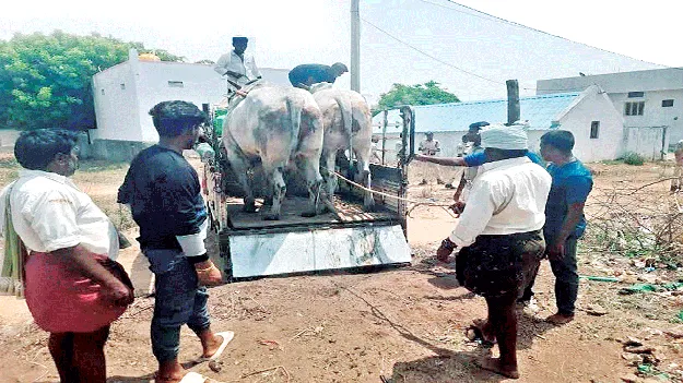 రోజంతా బల్గెరలో ఉద్రిక్తత 