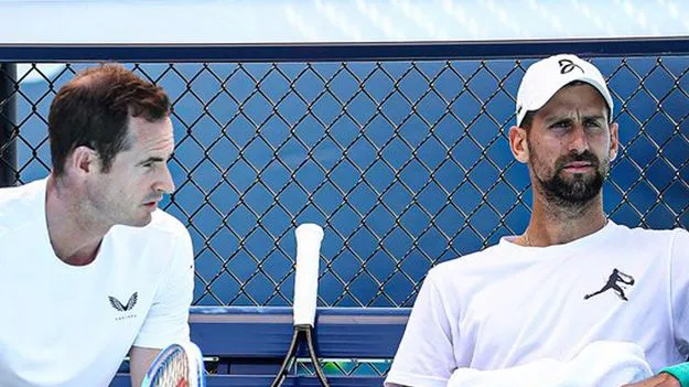 జొకో మర్రే కటీఫ్‌