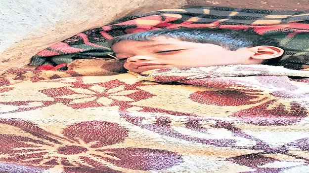 బుడపనసలో వ్యాధుల విజృంభణ