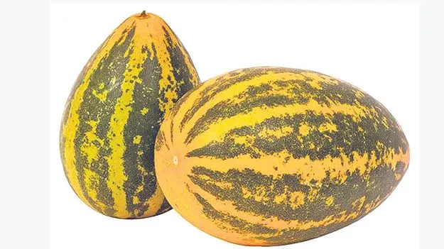 దోసకాయతో  వెరైటీగా..