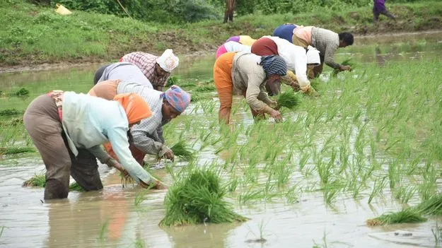ఖరీఫ్‌ ప్రణాళిక రెడీ