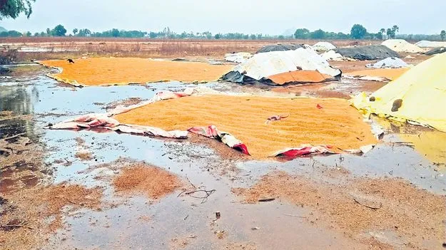 అకాల వర్షం.. రైతుకు నష్టం