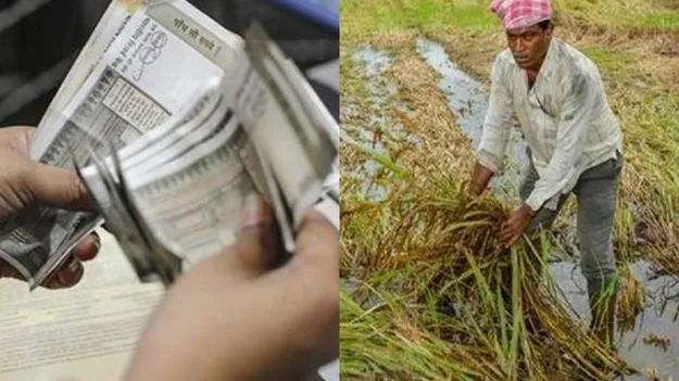 Crop Damage: పంట నష్ట పరిహారం రూ.51.52 కోట్లు!