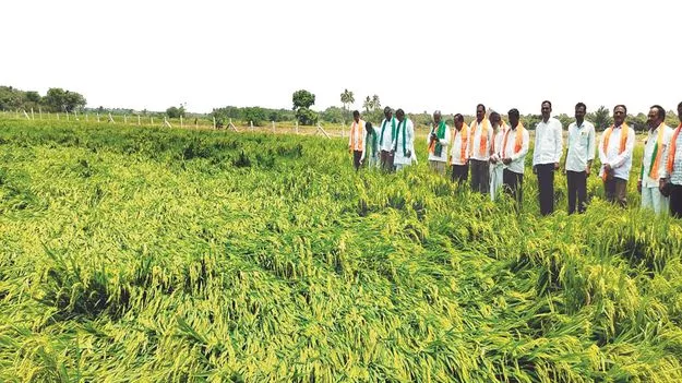 రైతులను ఆదుకోవాలి