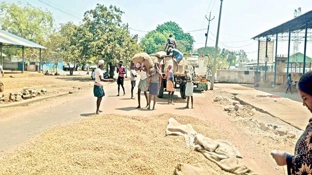 వేరుశనగ ధర పతనం