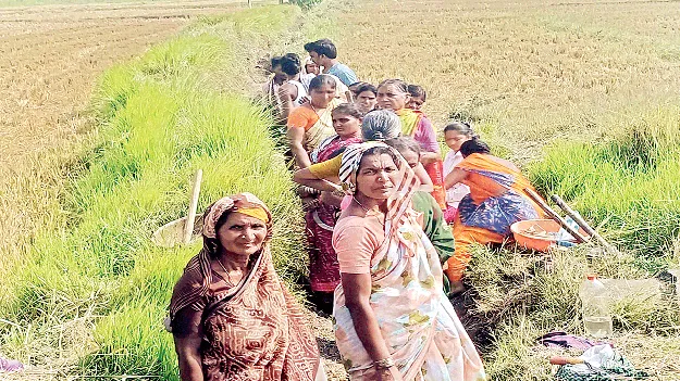 ఉపాధి కూలీల ఆకలి కేకలు