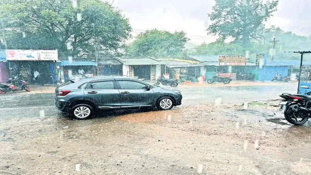 మన్యంలో భారీ వర్షం