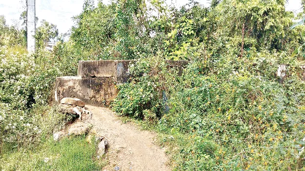 Irrigation water resources: అచేతనంగా ఓపెన్‌ హెడ్‌ చానళ్లు..