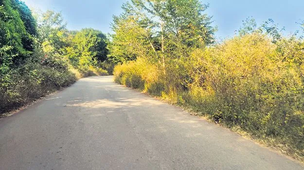 తుప్పలతో తిప్పలు