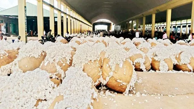 పత్తి గరిష్ఠ ధర క్వింటం రూ.7,881