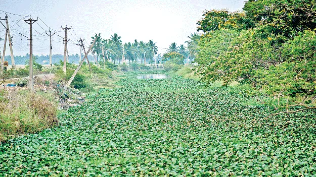 నీటి పారుదలకు నిధుల వరద
