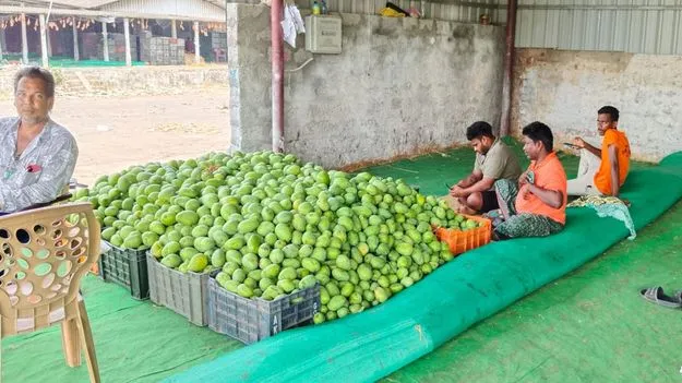 మామి..డీలా