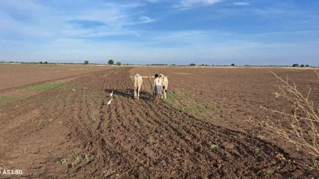 దుక్కులతో సాగుకు సన్నద్ధం