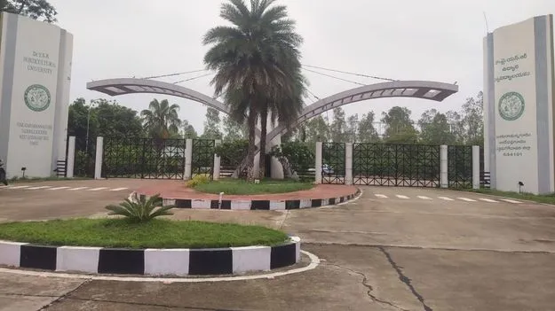 ఉద్యాన యూనివర్సిటీ ఉద్యోగులకు జీతాలు లేవు!