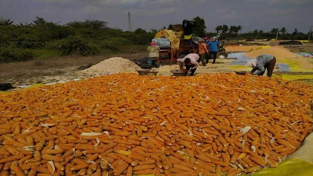 కొనుగోలు కేంద్రం లేక అవస్థలు