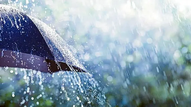 మూడు రోజుల్లో రాష్ట్రానికి నైరుతి