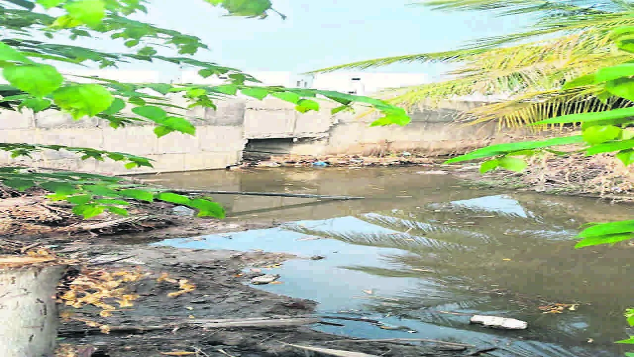 COLONY: వర్షం నీరు వెళ్లేదెలా..!