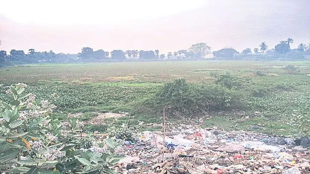 దివాన్‌'చెరువు' వెలవెల