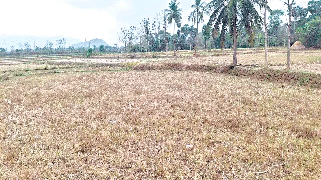 What about those 47 acres? ఆ 47 ఎకరాలు ఏమైనట్టో?