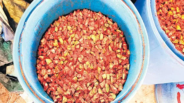 నోరూరే..ఊరుగాయ!