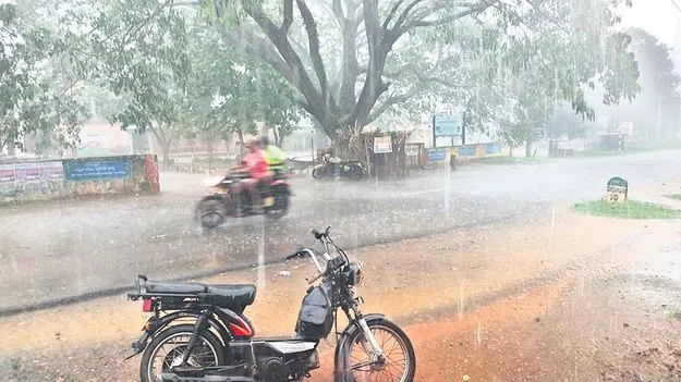 మాడుగుల, నర్సీపట్నం నియోజకవర్గాల్లో  మోస్తరు నుంచి భారీ వర్షం