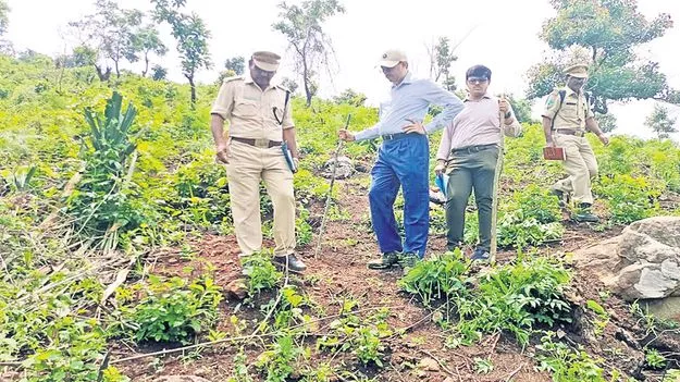  ఫారెస్ట్‌ కన్జర్వేటర్‌ విస్తృత పర్యటన