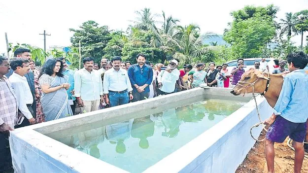 విస్తృతంగా వనాలు పెంచాలి