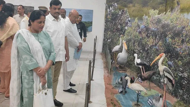 నేలపట్టును సంరక్షించుకోవాలి 