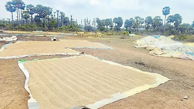 వర్రీయే!