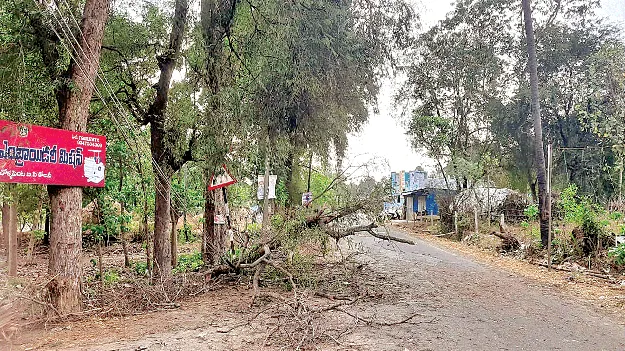 Wind..Rain గాలి..వాన