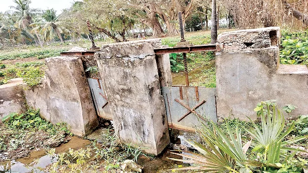 Is there any guarantee of irrigation water? సాగునీటికి భరోసా ఏదీ?