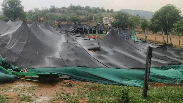 గాలివాన బీభత్సం