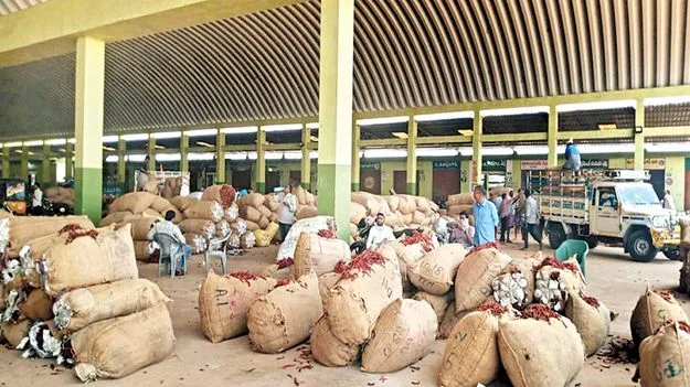 ఎండు మిర్చి ధర పతనం